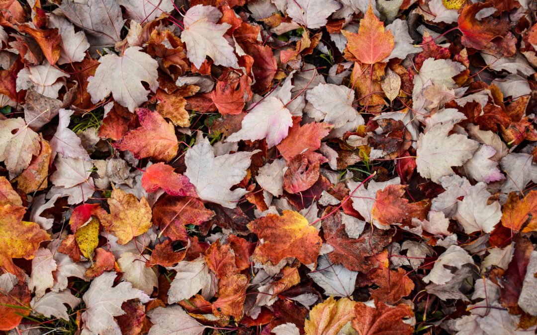Comment adapter sa routine : de l’été à l’automne 